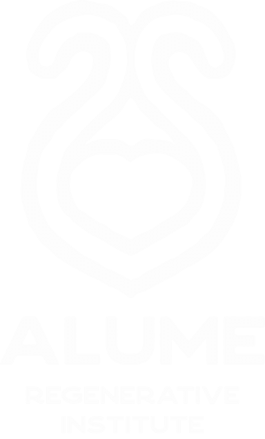 ALUME Institute Logo